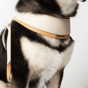 <span class=keywords><strong>Harness</strong></span> Kulit Anjing Mewah Warna Putih Krim, Produsen Desainer Grosir, Tanpa Tarik, Custom Made, Dapat Disesuaikan - Product Image 2