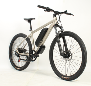 Factory Manufacturer Supply Adult Electric Mtb