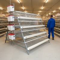 Système moderne d'élevage avicole de type cage à poules pondeuses avec alimentation automatique et système d'évacuation des déjections pour poules pondeuses