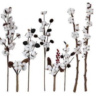 Branches naturelles de <span class=keywords><strong>coton</strong></span> <span class=keywords><strong>séchées</strong></span> fait à la main, vente en gros, 100g, pour décoration de maison, <span class=keywords><strong>bouquet</strong></span> de <span class=keywords><strong>fleurs</strong></span> <span class=keywords><strong>séchées</strong></span>, vente en gros - Product Image 1