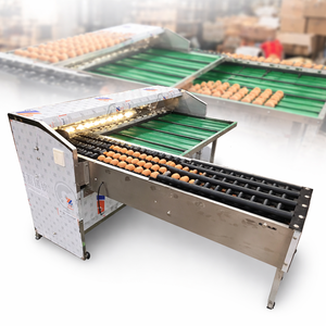 Máquina Clasificadora de Huevos Totalmente Automatizada, Sistema de Clasificación de Huevos <span class=keywords><strong>Moba</strong></span> de Alto Rendimiento con Cinta Transportadora y Empaquetado - Product Image 1