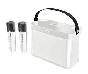 ลำโพงคาราโอเกะบลูทูธไฮไฟแบบพกพาพร้อมไมโครโฟนไร้สาย YS219 - Product Image 5