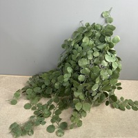 Tanaman Eucalyptus Buatan 60cm 90cm 120cm Silver Dollar Hiasan Gantung Hijau untuk Dekorasi Rumah Kantor Hotel Pernikahan Acara Pesta