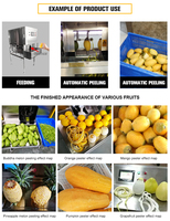 Automatische grote capaciteit sinaasappel schilmachine voor groenten en fruit, grapefruit, cantaloupe, pompoen, aardappel, ananas.