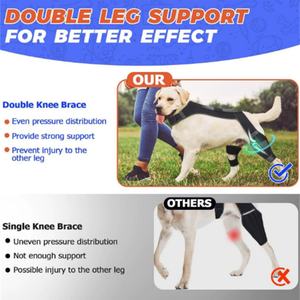Genouillère de soutien pour chien, équipement de protection pour animaux de compagnie, ceinture de rééducation pour déchirure des ligaments articulaires, produit phare - Product Image 4