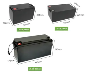 Lifepo4 Battery Rv Golf Cart Home Energy Storage System 12V 24V 100Ah 200Ah Batteries Solar Lifepo4 Lithium Battery Cell Pack