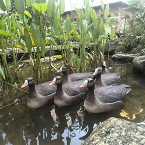 Ganso Blanco Frontal, Aves Acuáticas con Manchas Flotantes de EVA, Decoración para Exteriores, Paisaje para Caza, Jardín, Uso en Exteriores - Product Image 4