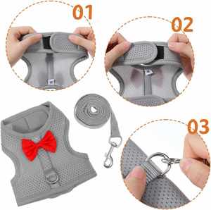Ensemble Harnais et Laisse pour Lapin, Gilet Respirant en Maille Douce avec Boucles de Sécurité pour Lapins, Cochons d'Inde, Chatons et Furets - Product Image 3