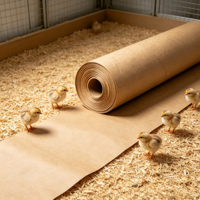 Papier kraft absorbant jetable pour palettes de poussins, idéal pour les élevages avicoles à grande échelle