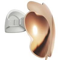 Masque facial de beauté à LED infrarouges personnalisé RedDot F2 630nm 850nm avec boîtier en PC, batterie 2500mAh, énergie 35mW/cm2