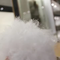 Vente en gros de duvet d'oie blanche super doux 90% lavé à vendre duvet d'oie en vrac