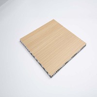 Panneau composite en nid d'abeille en aluminium étanche de haute qualité, longueur personnalisée, Design moderne, antistatique pour plafond à toit flottant