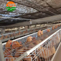 Vente chaude d'une cage de poulet d'oeufs de couche de capacité de Type 4 niveaux 128 pour la conception de maison de ferme de volaille des Philippines