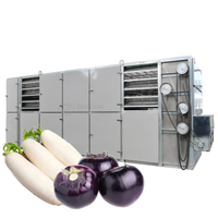 Séchoir à bande maillée pour radis blancs, aubergines, gingembre et légumes