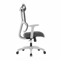 Chaise ergonomique haut de gamme à dossier haut en maille |   Appuie-tête et support lombaire réglables |   Chaise de bureau pivotante avec base en nylon