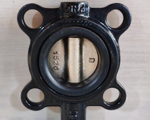 Nuevo y Original en Stock V4ABFW16-065-1wbr12 Válvula de Mariposa Actuada de 2 1/2 Pulgadas Tipo PN16 PLC - Product Image 5
