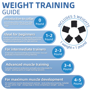 <span class=keywords><strong>Collar</strong></span> de Adiestramiento para Perros de Lujo, Ajustable, de Malla de Nailon y Poliéster, Equipo Táctico Resistente con Patrón Sólido y Iluminación para Perros Grandes - Product Image 6