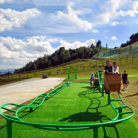 Mini Montagnes Russes Manuelles à Pédales pour Enfants – Construction Métal et Bois, Utilisation Intérieure/Extérieure – Amusement Abordable et Sans Moteur