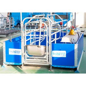 Hot Sale Modern Comfortable Farrowing Crate Custom Pig Farm Equipment Hot Dip Galvanized Steel Anti-Corrosion 15-25 Year - Product Image 4