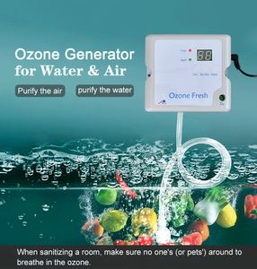 Generador de Ozono de Alta Calidad A&R ARO-8001LT con 1 Año de Garantía para Tratamiento de Agua, Productividad de 300 mg/h, Pantalla Integrada, Hecho en China - Product Image 5