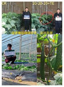 Fertilizante para Olivos, Fertilizante Líquido Orgánico para Árboles Frutales, Fuente de Ácido Húmico, Tipo NPK para Agricultura - Product Image 4