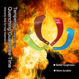 I produttori professionali forniscono <span class=keywords><strong>accessori</strong></span> IT225 IT245 lame per motozappe agricole - Product Image 4