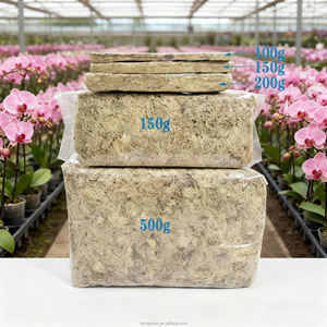 Borse <span class=keywords><strong>di</strong></span> lusso ecologiche fornite dalla fabbrica <span class=keywords><strong>di</strong></span> muschio <span class=keywords><strong>di</strong></span> sfagno <span class=keywords><strong>di</strong></span> <span class=keywords><strong>acqua</strong></span> alta per Micro paesaggio muschio parete Art Venus acchiappamosche pianta - Product Image 1