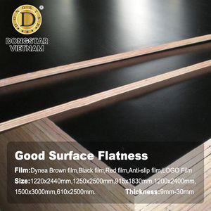Panel de Contrachapado de Alta Resistencia con Núcleo de Madera Dura Blanca, Recubierto con Película, Tablero de Encofrado Impermeable para Construcción - Product Image 2