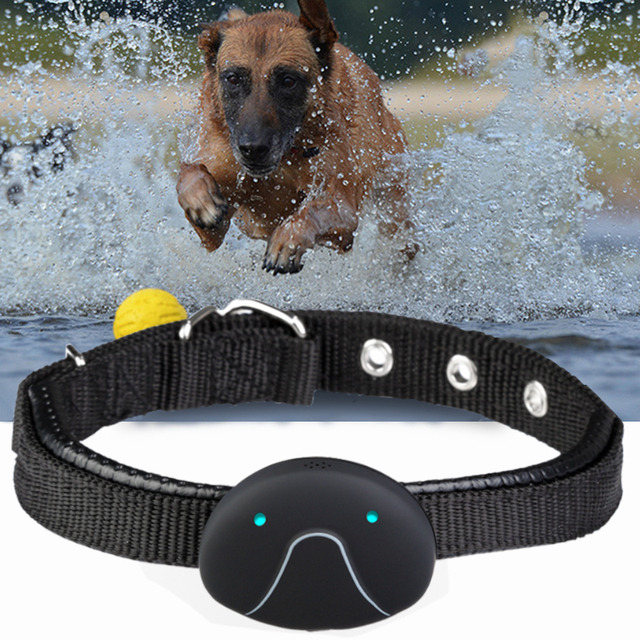 Gps Tracker Type Pet Gps Tracker Dog Trening Tracker Collar for Pets Dogs Cats