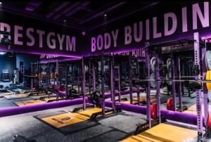 Machine de musculation commerciale <span class=keywords><strong>pour</strong></span> <span class=keywords><strong>biceps</strong></span> et brachies, équipement de musculation <span class=keywords><strong>pour</strong></span> <span class=keywords><strong>biceps</strong></span>, dorsaux et rhomboïdes - Product Image 5
