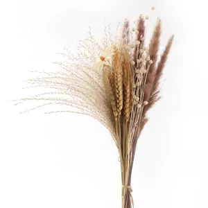 Factory Wholesale Fluffy Reed Mixed Color Artificial Faux Pampas Grass For Wedding And Home Decor