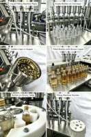Ligne de remplissage et de bouchage automatique Hebo pour liquides oraux 10 ml, multi-têtes pour bouteilles en verre et en plastique