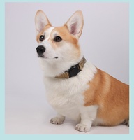 Collier GPS anti-perte pour animaux de compagnie, étui de protection pour AirTag, suivi intelligent iOS Android