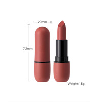 Rouge à lèvres mat velours, longue tenue, waterproof, anti-transfert, nude et brun, personnalisable avec votre logo, maquillage cosmétique pour les lèvres