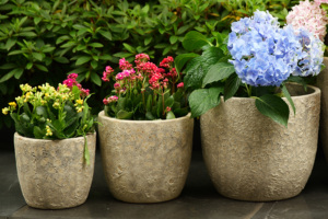 Pots de fleurs modernes classiques en céramique émaillée durables avec drainage pour plantes d'intérieur et bonsaïs - Vente en gros pour usage au sol en jardin - Product Image 2
