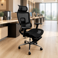 Chaise de bureau ergonomique avec support lombaire 5D, style professionnel, chaise de jeu confortable pour de longues heures de travail, respirante pour la maison