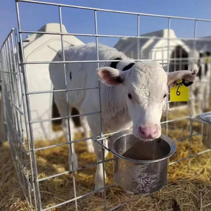 ที่ป้อนลูกวัวสำหรับลูกวัวบ้านลูกวัวสำหรับลูกวัว - Product Image 1