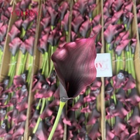 Groothandel EVA Grote Calla Lelie Kunstbloem Bordeaux Kunstmatige Calla Lelie Voor Gotische Bruiloft Tafeldecoratie Bloemstuk