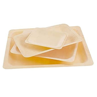 Assiettes carrées en bois jetables biodégradables, écologiques, compostables, pour mariage, fête, restauration, vente en gros