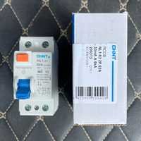 Interrupteur différentiel CHNT de marque originale Chint NL1-63 2P 4P 25A 40A 63A 30mA 100mA 300mA 6kA 10kA RCCB RCD avec certification CE