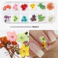 Set Bunga Kering untuk Seni Kuku, 12 Warna Bunga Kering Berenda, Baby's Breath & Hydrangea, Kotak Bunga Kering Gaya Jepang