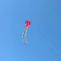 Le cerf-volant pieuvre est facile à piloter pour les enfants et les adultes. Cet ensemble de cerfs-volants de plage 3D souples à une seule ligne est parfait pour les garçons et les filles.