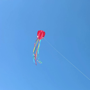 Le cerf-volant pieuvre est facile à piloter pour les enfants et les adultes. Cet ensemble de cerfs-volants de plage 3D souples à une seule ligne est parfait pour les garçons et les filles. - Product Image 4