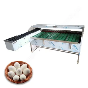 Washer and small size grader sorting dried washing egg grading packing machine