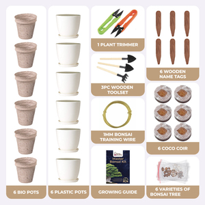 Innovant Levitate Air Master Bonsai <span class=keywords><strong>Pot</strong></span> Meilleurs produits <span class=keywords><strong>de</strong></span> jardinage pour la maison Rotation Caractéristique Pépinière Convient <span class=keywords><strong>Pot</strong></span> <span class=keywords><strong>de</strong></span> <span class=keywords><strong>fleur</strong></span> Grow Label - Product Image 5