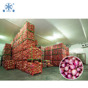 Almacenamiento frío de frutas y verduras para almacenamiento en frío de cebolla - Product Image 6
