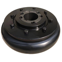 Accouplement de pneu en acier rigide Eupex avec limiteur de couple pour usage industriel