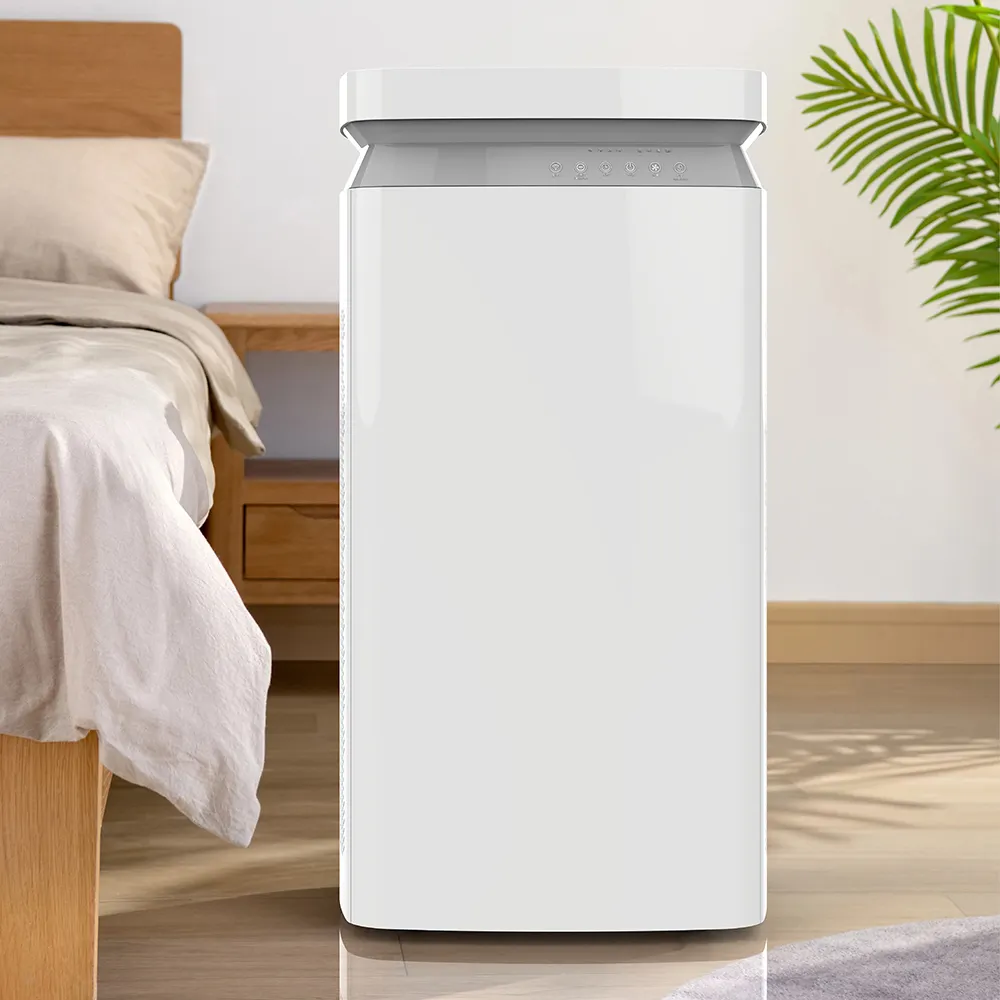 Purificateur d'air de grande surface avec purificateur d'air True Hepa pour la maison