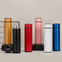 Bouteille d'eau intelligente en acier inoxydable à double paroi 500ml sans Bpa avec affichage de la température