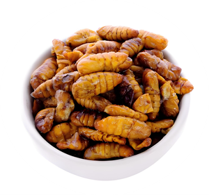 नर सिल्कवर्म 10:1 पुरुष सिल्कवर्म प्यूपा उच्च गुणवत्ता वाले शुद्ध प्राकृतिक भोजन ग्रेड - Product Image 3